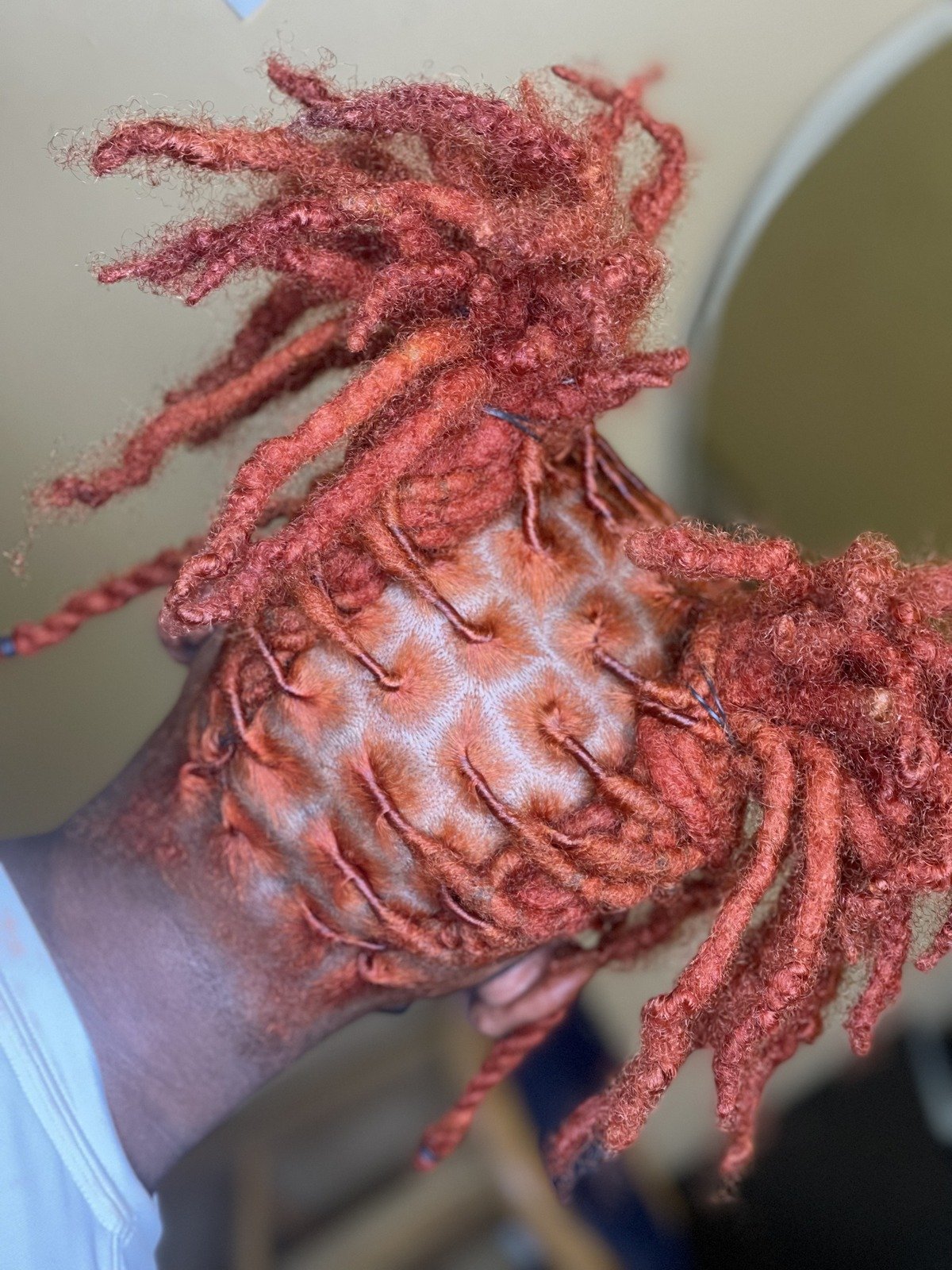 Starter Locs